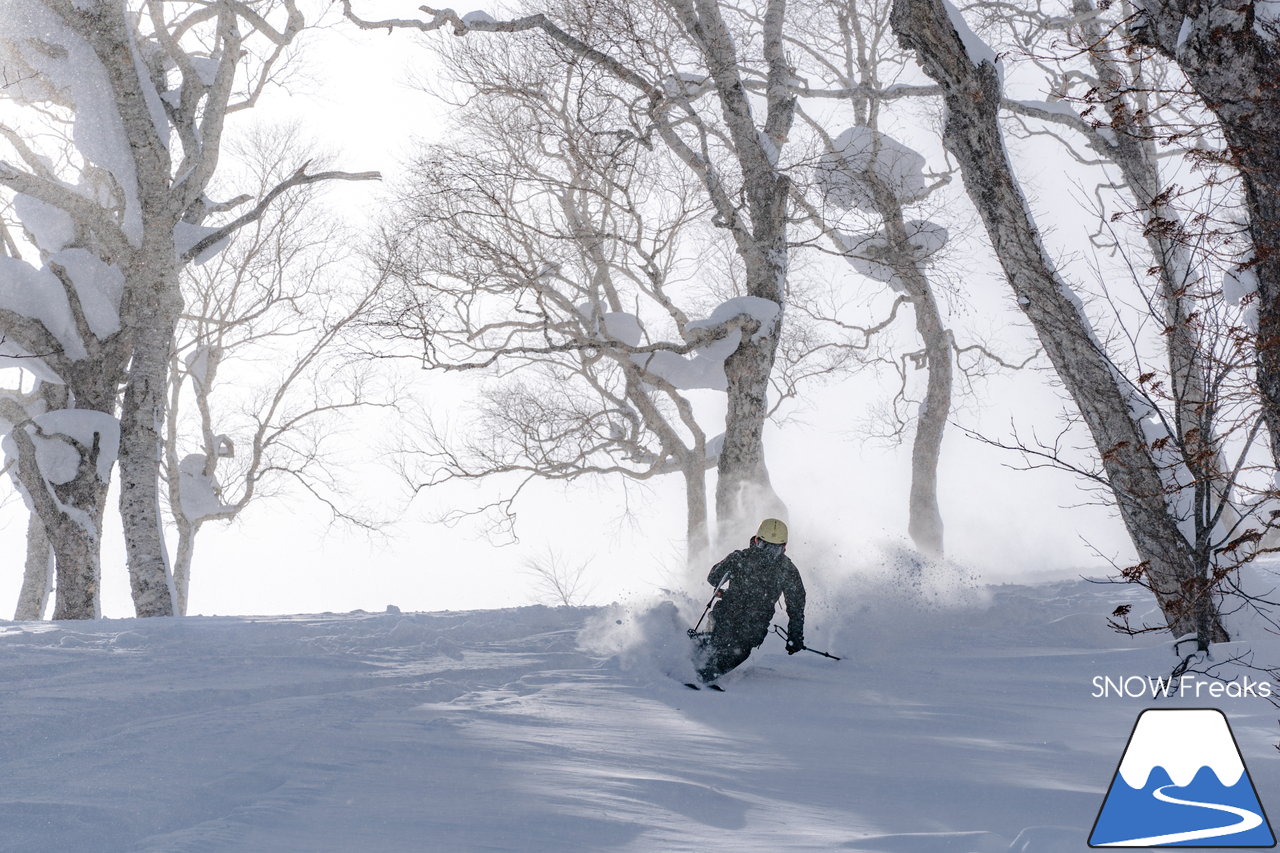 ニセコ東急グラン・ヒラフ｜積雪400cm！ニセコの『PowderSnow』を味わい尽くす、贅沢な時間♪